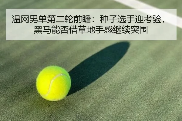 温网男单第二轮前瞻：种子选手迎考验，黑马能否借草地手感继续突围